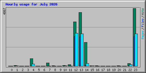 Hourly usage for July 2026